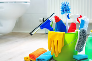 Messie Reinigung Worms